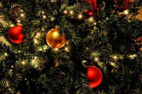 12 DAYS OF CHRISTMAS WITH PAUL