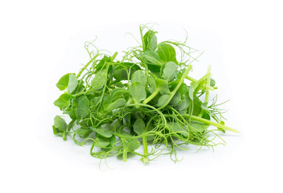 Why Green Sprouts Are a Must in Your Diet